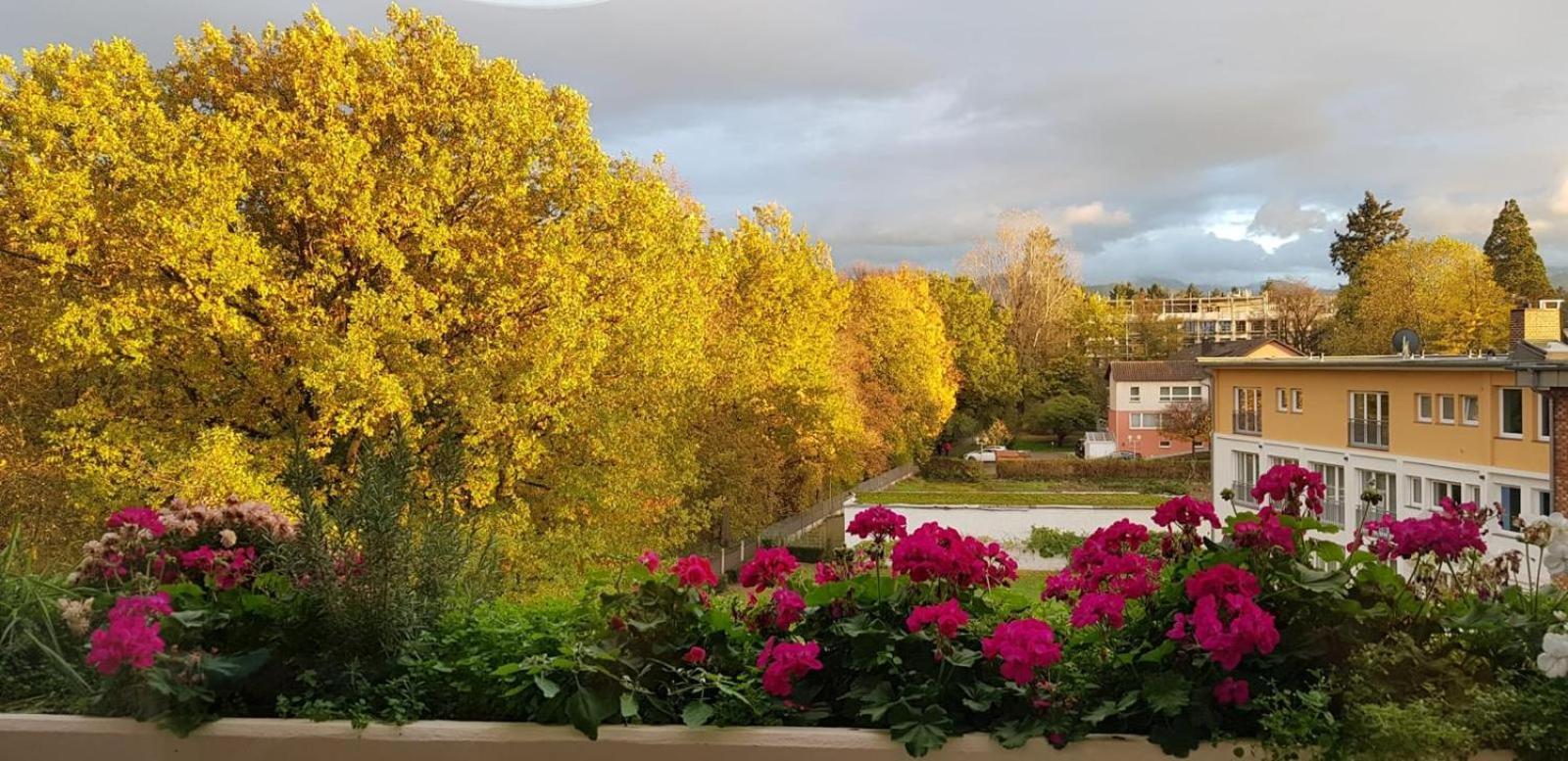 Mariaprimavera Apartment Am Kurpark Mit Schwarzwaldblick * * * * Bad Krozingen Esterno foto
