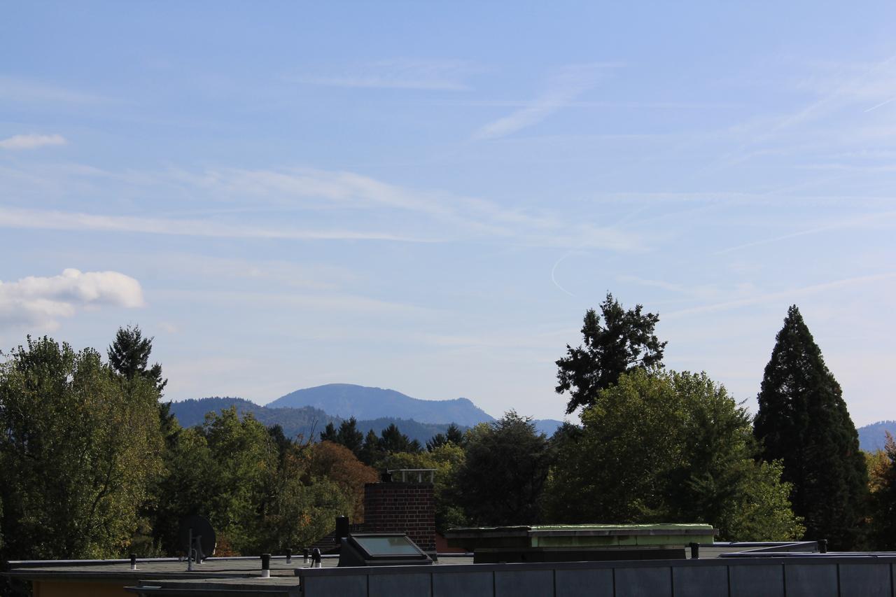 Mariaprimavera Apartment Am Kurpark Mit Schwarzwaldblick * * * * Bad Krozingen Esterno foto